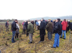 2013 AUBE - Villenauxe-la-Grande