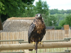 2014 CHATEAU-THIERRY