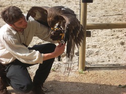 2014 CHATEAU-THIERRY