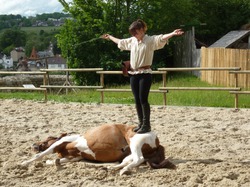 2014 CHATEAU-THIERRY