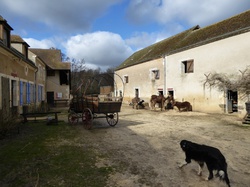 2016 YONNE - Pays de Puisaye -