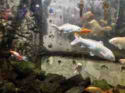 2024 DANNEMOIS-SOISY