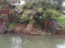 2025 Batellerie => Chocolaterie